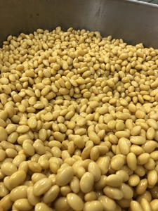 毎週発送!【4回定期】続ける美豆乳7袋+たま豆腐2球 毎週発送 無調整 成分無調整 定期 朝 国産大豆 健康 タンパク質 栄養 soy milk ソイミルク 小分け 飲料 グルメ おすすめ お取り寄せ