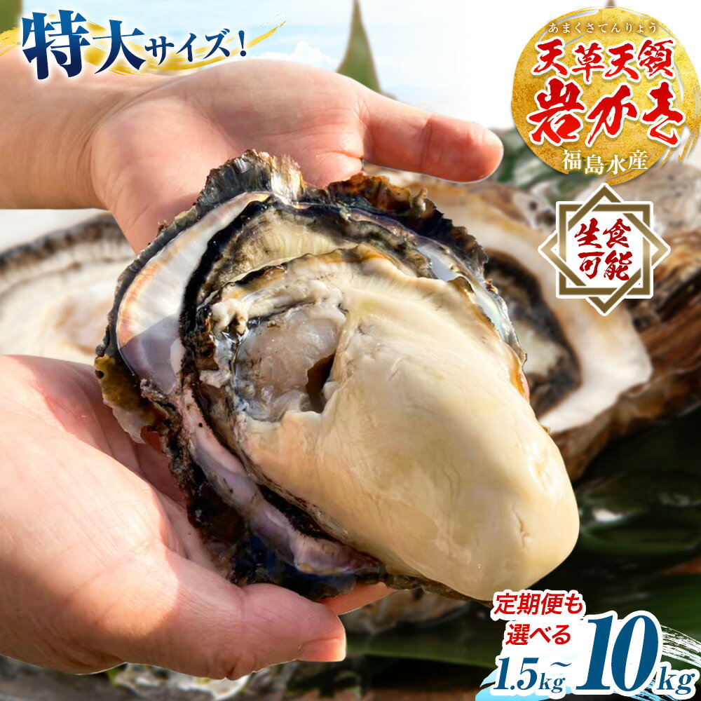 【ふるさと納税】先行予約 牡蠣 カキ 天領 岩牡蠣 選べる容量 約1.5kg 2.5kg 5kg 《2026年4月上旬-7月末頃出荷予定》熊本県 苓北町 かき 岩カキ 岩ガキ 貝 BIG ビッグ 生食 バーベキュー 夏天草 天領 福島水産 苓北 熊本 旬 シーズン 送料無料【配送不可地域あり】