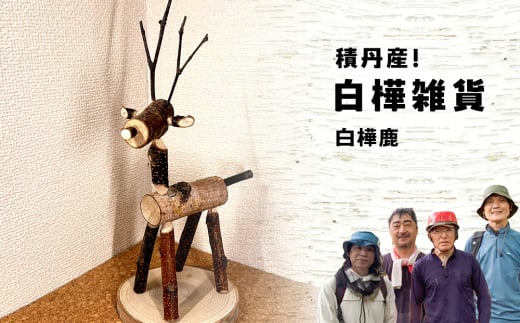≪数量限定≫積丹【白樺鹿1個】北海道 森林保持