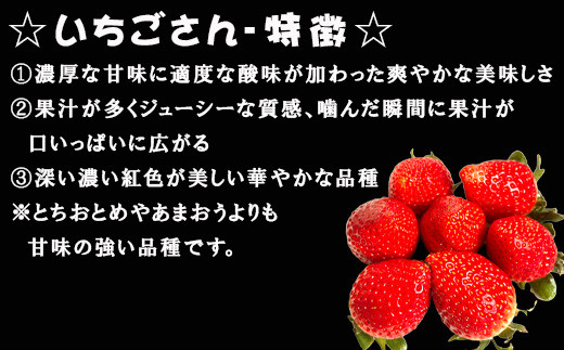 濃厚な甘味とジューシーさが口いっぱいに広がる苺「いちごさん」