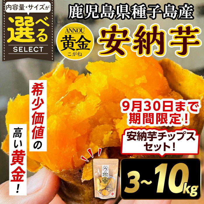 【ふるさと納税】＜期間・数量限定セット！先行予約受付中！2025年9月下旬頃から12月中の発送予定＞内容量が選べる！種子島産 安納芋＜黄金＞(3～10kg)＆安納芋チップス1袋セット 国産 安納芋 黄金 こがね コガネ 種子島 芋 イモ さつま芋 安納いも 野菜【うずえ屋】