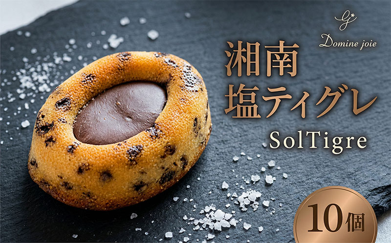 【ふるさと納税】湘南塩ティグレ SolTigre 10個入り 塩ティグレ SolTigre フランス伝統菓子 フランス焼き菓子 焼き菓子 焼菓子 フランス菓子 デザート スイーツ ガナッシュ 塩 ソルト お取り寄せスイーツ 贈答品 送料無料 神奈川県 平塚市