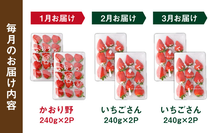 【先行予約 2027年1月～発送】【3回定期便】赤いちご食べ比べ！かおり野＆いちごさん【StrawberryFarm-K】イチゴ [IBJ007]