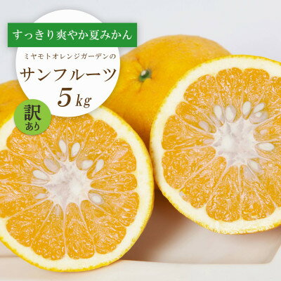 【ふるさと納税】【2026年3月以降発送】さっぱりみずみずしいサンフルーツ(甘夏)5kg【訳あり】【C25-214】【1612630】