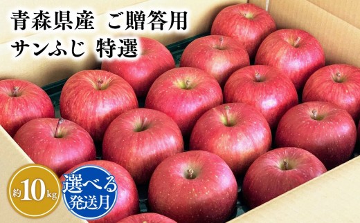 
                  ＜選べる発送月＞【特選】サンふじ10㎏【宮川商店 青森りんご 平川市産】11月～4月発送 青森 平川 りんご リンゴ 林檎 フルーツ 
                