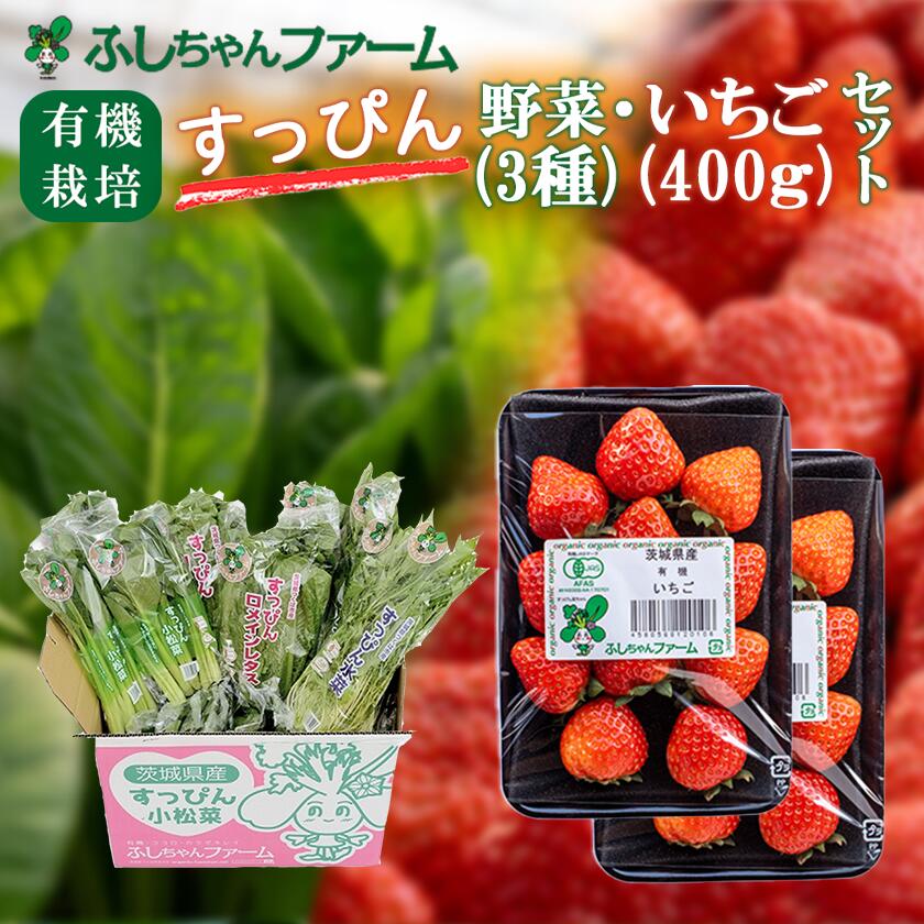 【ふるさと納税】すっぴん有機いちご400g・野菜セット | 茨城県 つくば市 いちご 苺 イチゴ 恋みのり 小松菜 ロメインレタス 水菜 鍋 鍋もの 野菜 有機野菜 有機栽培 無農薬 有機農業 オーガニック 自然 果実 フルーツ 果物 希少