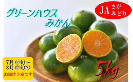 P-57 すっきり爽やか！！グリーンハウスみかん ５ｋｇ 夏 みかん ミカン 蜜柑 フルーツ くだもの 果物 ミネラル豊富 太良町 国産 産地直送 贈答用