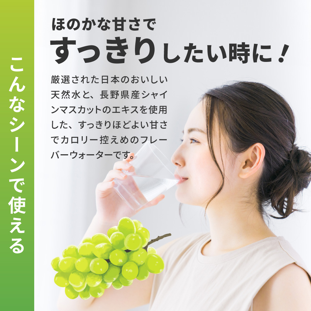 【２ヶ月定期便】い・ろ・は・す シャインマスカット540mlPET×24本｜コカ・コーラ 飲料 ドリンク 飲み物 水 フレーバー いろはす 北海道 札幌市