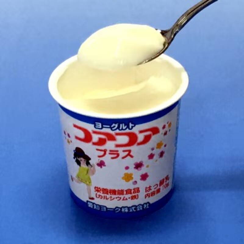 【6ヶ月定期便】愛知ヨーク　コアコアプラスヨーグルト　20個入