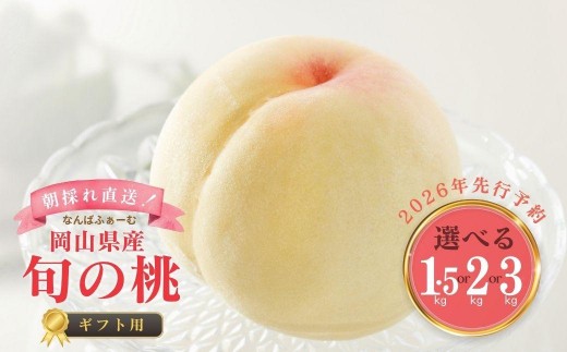 
            ＜選べる容量＞＜数量限定＞［なんばふぁーむ］岡山県産 旬の桃［ギフト用］1.5kg（4～6玉）or 2.0kg（5～9玉）or 3.0kg（9～13玉）【2026年発送】
          