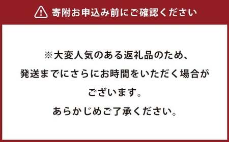 「よつ葉」北海道十勝 3種のチーズ《濃厚コク旨ブレンド》130g×2袋【B138】