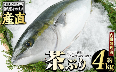 茶ぶり ラウンド（約4kg 内臓処理済） ぶり 柵 刺身 ブリ 切り身 鰤 1本 鮮魚 下処理済み 鮮魚 1匹 刺身 ぶりしゃぶ ぶりかま 【ウスイ】usui-6120｜ ぶり ブリ 鰤 刺身 ぶり ブリ 鰤 刺身 ぶり ブリ 鰤 刺身 ぶり ブリ 鰤 刺身 ぶり ブリ 鰤 刺身 ぶり ブリ 鰤 刺身 ぶり ブリ 鰤 刺身 ぶり ブリ 鰤 刺身 ぶり ブリ 鰤 刺身 ぶり ブリ 鰤 刺身 ぶり ブリ 鰤 刺身 ぶり ブリ 鰤 刺身 ぶり ブリ 鰤 刺身 ぶり ブリ 鰤 刺身 ぶり ブリ 鰤 刺身 ぶり ブリ