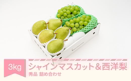 【先行予約】シャインマスカット 秀品 & 西洋梨 詰め合わせ 3kg 令和8年産 2026年産 果物 梨 洋梨 ns-fssyx3
