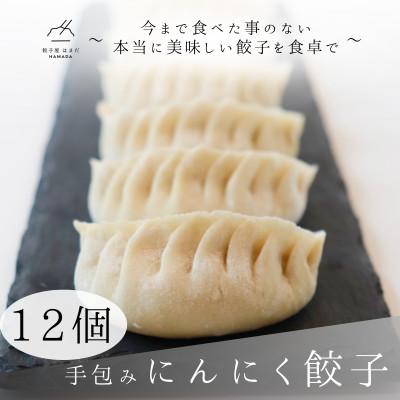 ふるさと納税 草津市 手包みにんにく餃子　12個入り