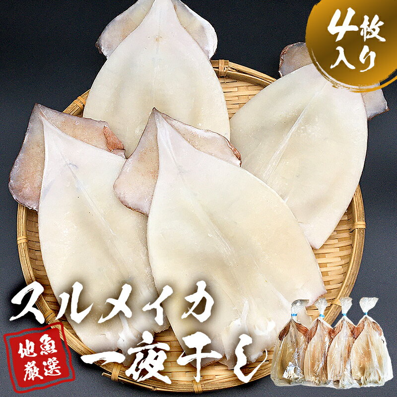 【ふるさと納税】 地魚厳選 スルメイカ一夜干 千葉県 南房総市 塩不使用 網焼き バター焼き 焼そば パスタ お好み焼き 天ぷら フライ 揚げ物 干物 おかず 時短調理 酒の肴 珍味 お取り寄せ グルメ 送料無料