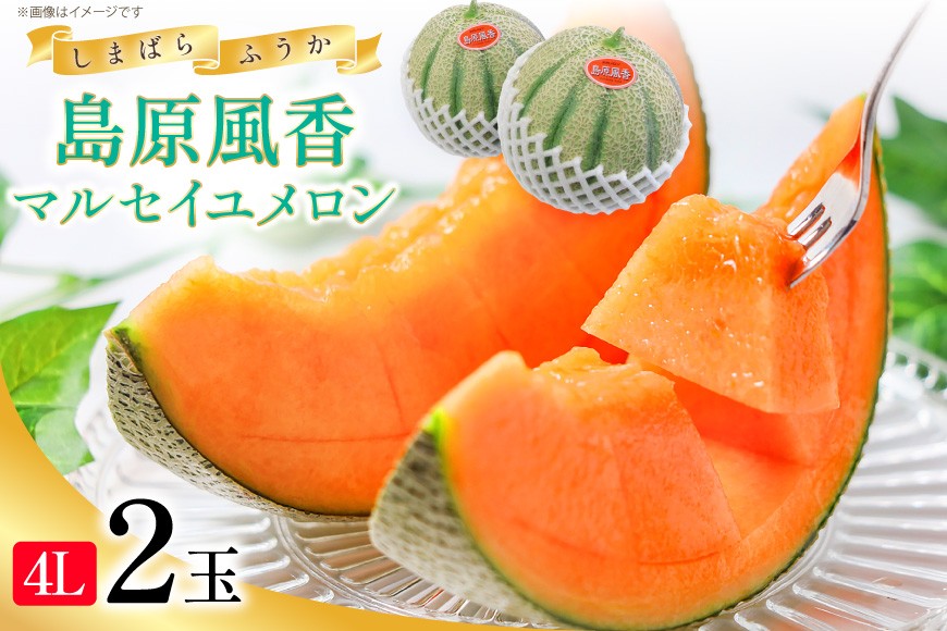 
                  ペルピンズさん絶賛！【令和9年度出荷分】マルセイユメロン～島原風香～（4L×2玉） [ メロン 赤肉 果物 くだもの フルーツ 産地直送 『舞岳の里』生産組合 長崎県 島原市 DF108]
                