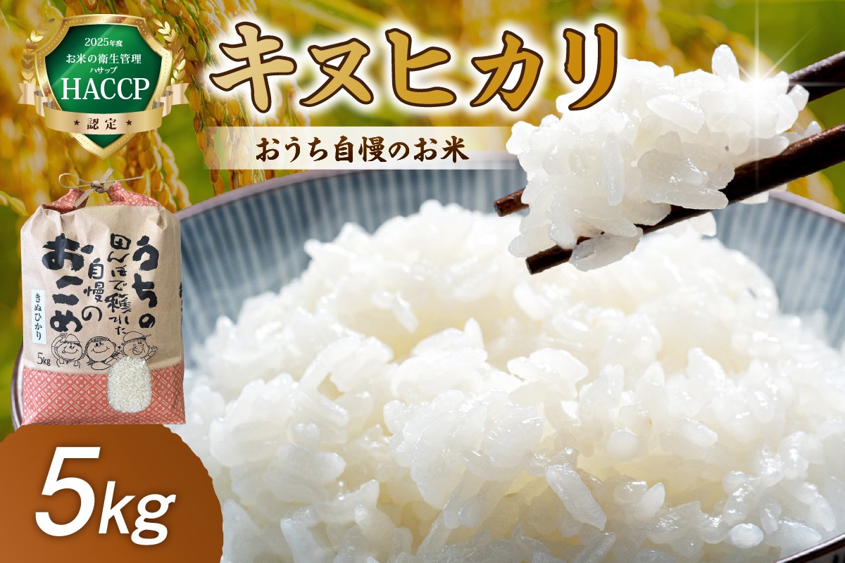 
                  おうち自慢のお米　キヌヒカリ5kg
                