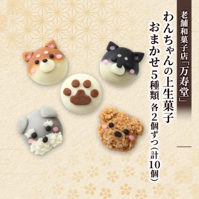 ふるさと納税 羽後町 わんちゃんの上生菓子おまかせ5種 各2個ずつ(計10個)[No.5325-0437]
