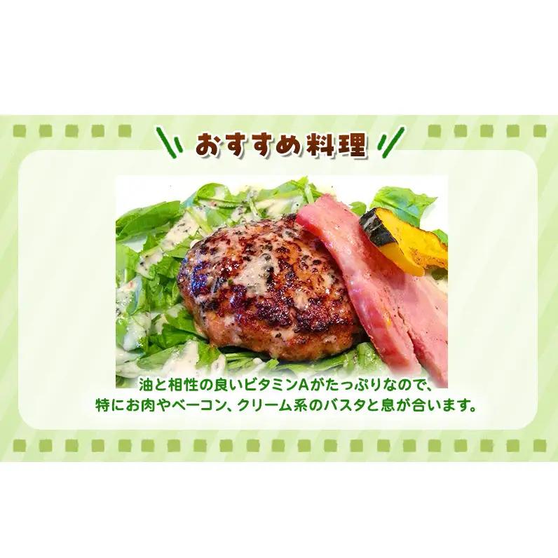 サラダほうれん草 44袋 野菜サラダセット 詰め合わせ ほうれんそう ホウレン草 新鮮 産地直送 大容量 業務用 まとめ買い 野菜セット ギフト 詰合せ 常備野菜