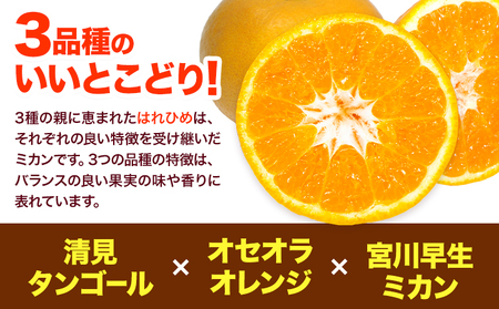 【先行予約】みかん はれひめ 約 5kg 25玉 ～ 30玉 紀農人株式会社《2025年12月中旬-2026年2月上旬頃出荷》 和歌山県 紀の川市 果物 フルーツ 柑橘 蜜柑 柑橘類 旬