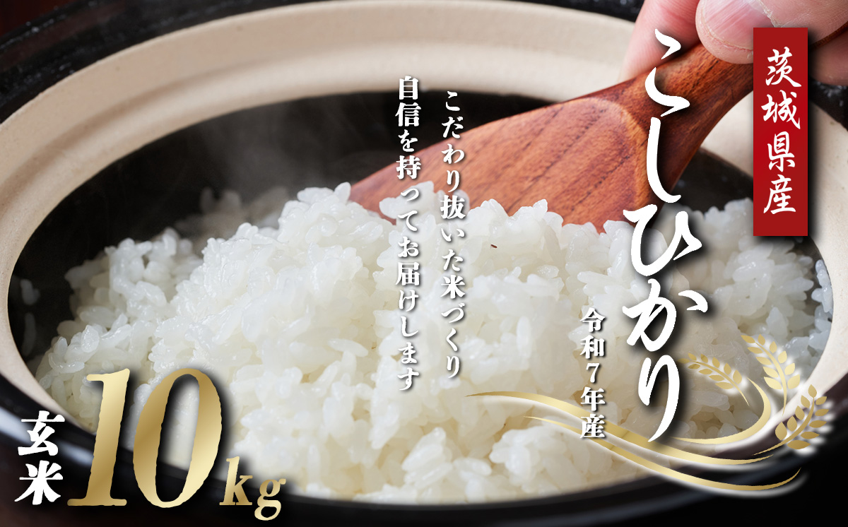 令和7年産 よこたファームのコシヒカリ （ 玄米 ） 10kg 【 米 ライス 玄米 こしひかり 10kg 茨城県産 こだわり こめ コメ お米 2025年産 おこめ R7 ご飯 ごはん 数量 限定 白飯 茨城県 つくば市 】
