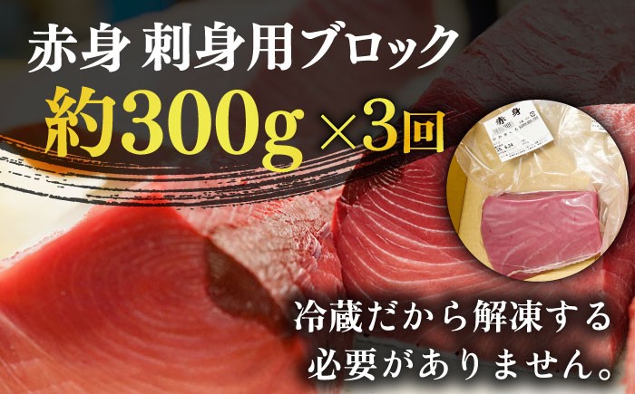 【全3回定期便】五島列島産 養殖 生本かみマグロ 赤身 300g / まぐろ 鮪 刺身 ブロック
