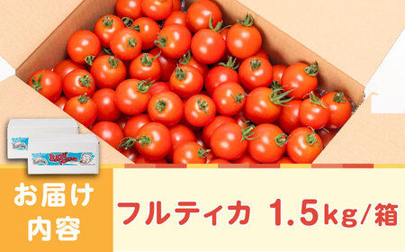 ミディアムトマト バラ 2箱（1.5kg×2種）《壱岐市》【ISLAND FARM】 トマト 生鮮 野菜 夏 19000 19000円 [JFL002] コダワリトマト こだわりトマト おすすめトマト