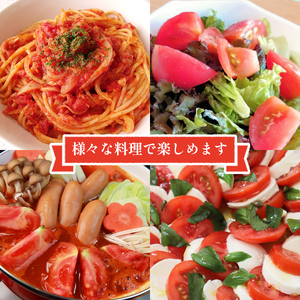 moto farm トマト 2kg  甘みと酸味の絶妙なバランスの麗月トマト 赤採れ  | トマト とまと 野菜 産地直送 数量限定 完熟 赤採れ とまと2kg 愛媛 松山 【MTF004】