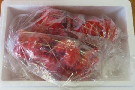 【北海道根室産】花咲がに 2～3尾(計1kg以上)(チルド便発送) B-59017