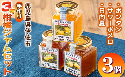 
										
										isa475 《数量限定》3種の柑橘ジャム食べ比べセット(計3個・ボンタン、サワーポメロ、日向夏 各180g) 加工食品 果物 フルーツ 詰め合わせ 果肉 柑橘 低糖 ハンドメイド ジャム ギフト マーマレード【薩摩美食倶楽部】
									