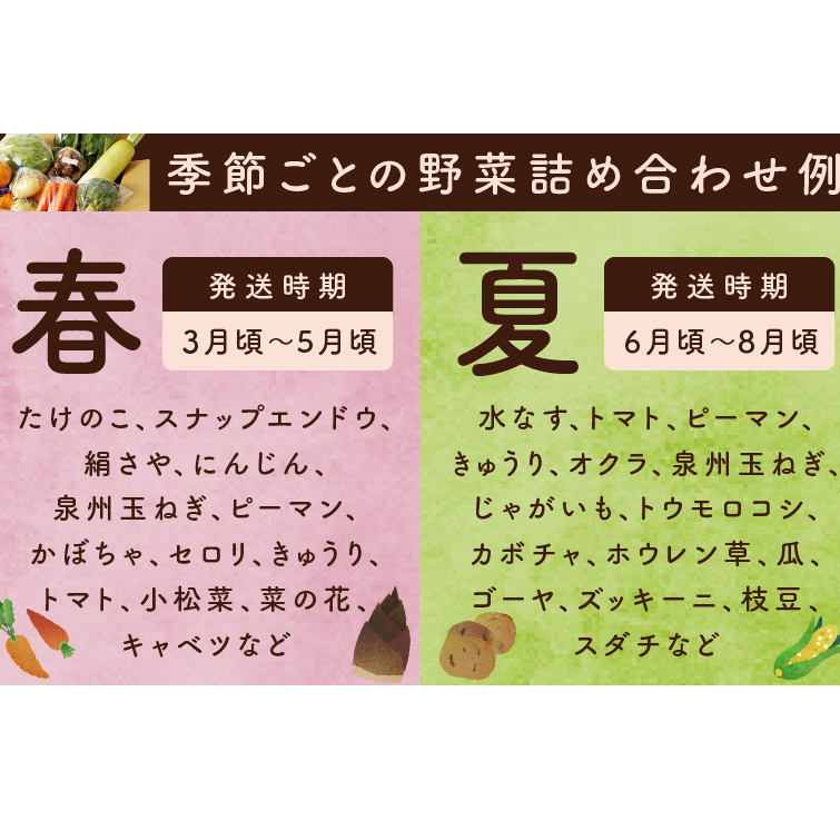 泉州野菜 定期便 全4回 15種類以上 詰め合わせ 国産 新鮮 冷蔵【毎月配送コース】 099Z190_イメージ4