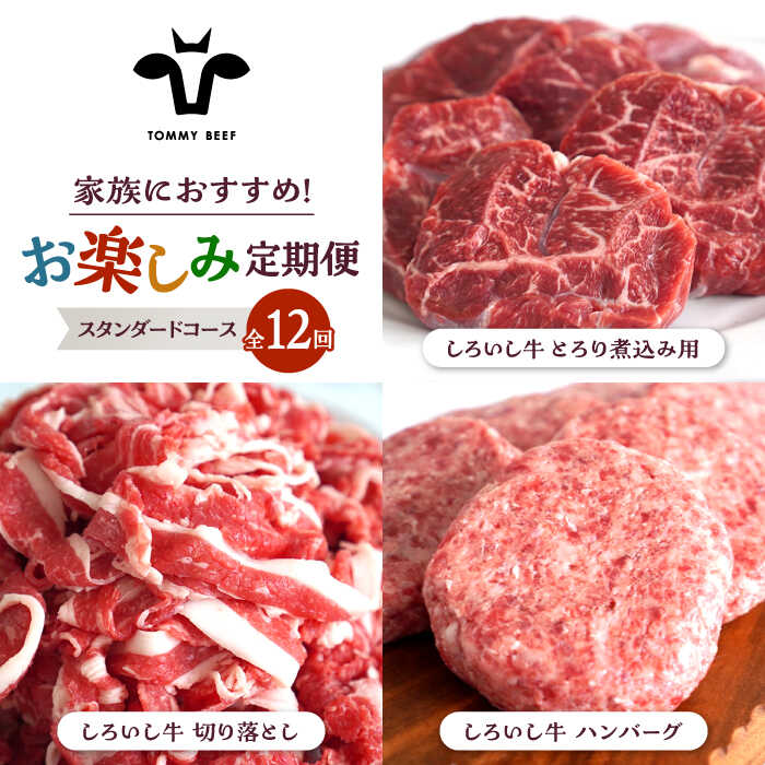 【ふるさと納税】【牧場直送】【12回定期便】しろいし牛 家族向け お楽しみ 定期便（スタンダードコース）【有限会社佐賀セントラル牧場】 [IAH211]