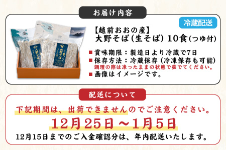 越前大野産 石臼挽き 越前そば 生そば10食（つゆ付）[A-018016]