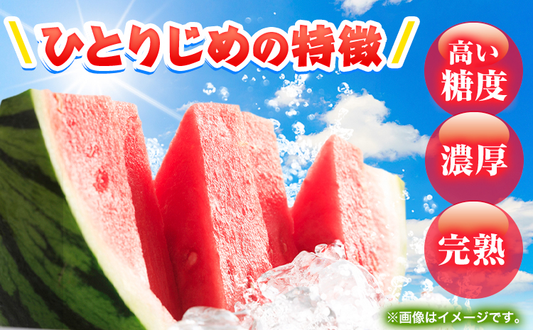 紀州和歌山産 小玉スイカ 「ひとりじめ」 1玉 魚鶴商店《2026年6月上旬-7月上旬頃出荷》 和歌山県 日高川町 スイカ スイーツ フルーツ