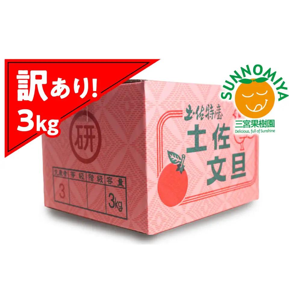 【先行予約】三宮果樹園の土佐文旦 訳あり 3kg〈2027年2月14日から2027年3月15日発送〉高知県 土佐市【三宮果樹園】[BQAP006]