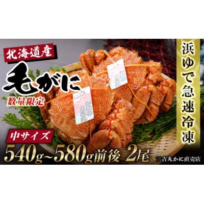 ふるさと納税 白老町 北海道産ボイル毛ガニ 540g〜580g前後×2尾 冷凍