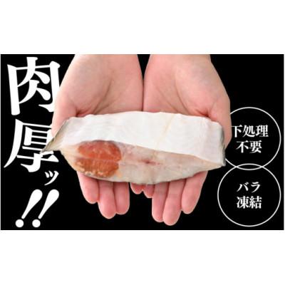 ふるさと納税 越前町 【のし付き】【越前海岸・美味直送シリーズ】肉厚!越前産カレイ切り身　計3kg(1kg × 3袋) |  | 02