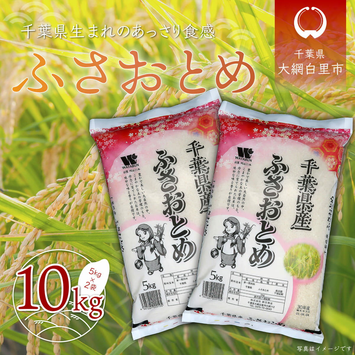 【ふるさと納税】 令和7年産 千葉県産「ふさおとめ」10kg（5kg×2袋） お米 10kg 千葉県産 大網白里市 ふさおとめ 米 精米 こめ 送料無料 A003