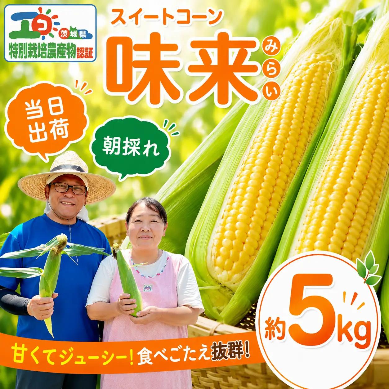 【 朝採れ 当日出荷 】 スイートコーン 「 味来 」 約5kg 甘い 新鮮 皮付き トウモロコシ とうもろこし コーン 野菜