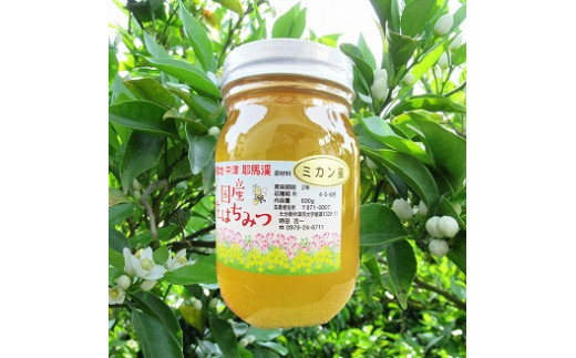 中津・耶馬渓のはちみつ みかん 600g×1瓶 | 時田養蜂場 国産 蜂蜜 ハチミツ みかん 蜜柑 ミカン 大分県産 九州産 中津市