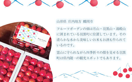 【令和8年産】フルーツガーデンのさくらんぼ 〈佐藤錦〉 バラ詰め L～2Lサイズ 1kg（500g×2）山形県鶴岡市　| サクランボ チェリー 佐藤錦 果物 くだもの フルーツ 1キロ 甘い 完熟 旬