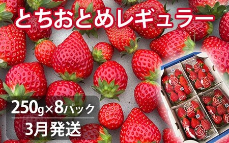 【3月発送】とちおとめレギュラー 250g×8パック