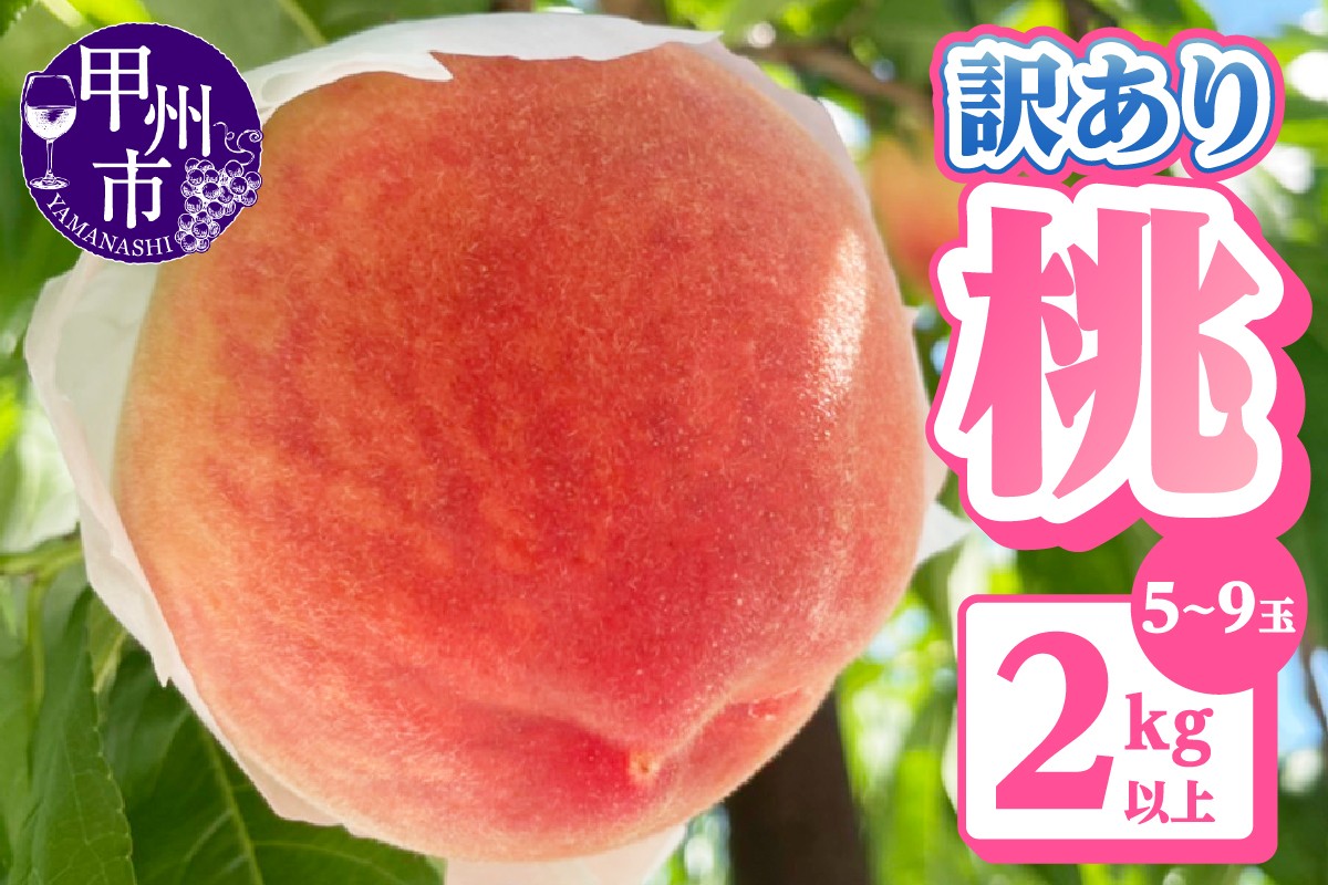 
                  【訳あり】桃5～9玉2kg以上【2026年発送】（AGB）A09-876 【桃 もも モモ 令和8年発送 期間限定 山梨県産 甲州市 フルーツ 果物】
                