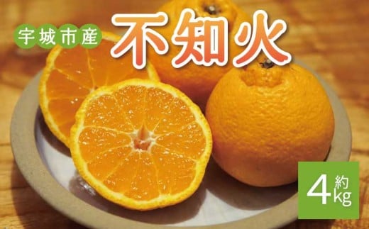 先行予約 不知火 約4kg (15玉前後)【2026年2月上旬から3月下旬発送予定】 しらぬい みかん ミカン 蜜柑 フルーツ 果物 くだもの 熊本県産 九州産 国産 送料無料 ひでみかん