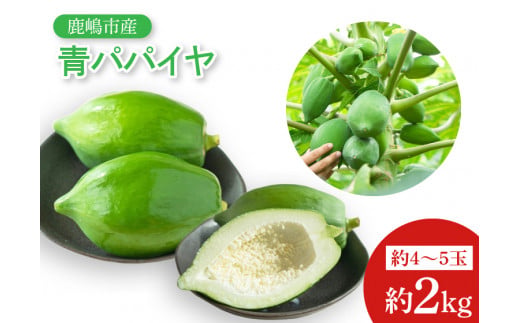 【先行予約】鹿嶋市唯一の青パパイヤ農園！青パパイヤ 約2kg 【野菜 やさい くだもの 果物 鹿嶋市 茨城県 10000円以内 1万円以内】（KBF-4）
