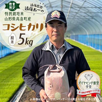 ふるさと納税 高畠町 【数量限定】精米 令和7年  遠藤農園 遠藤五一 特別栽培米 コシヒカリ 5kg