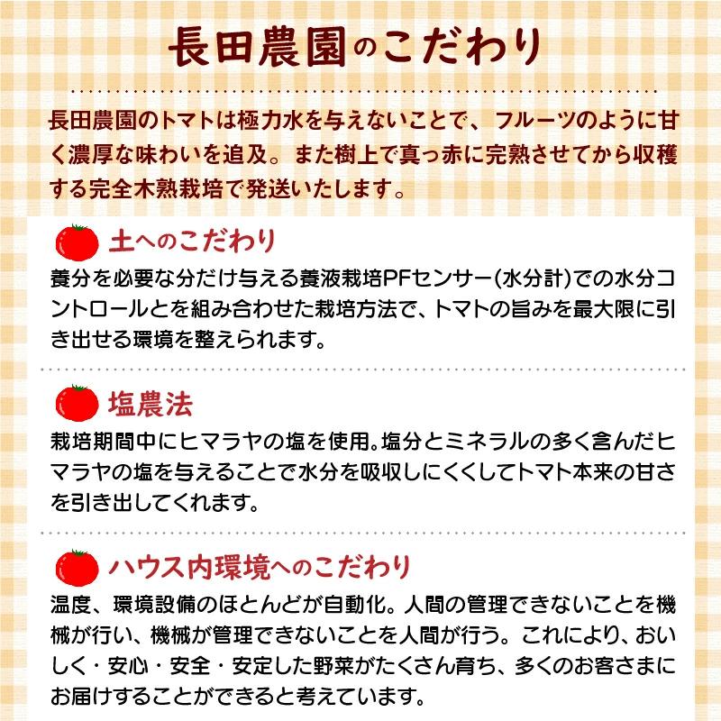 【2026年度予約分】あま～いトウモロコシ＆トマトベリー　長田農園しかできない夢の共演 【個数限定】 野菜ソムリエサミット 金賞 受賞 長田農園 産地直送 トマト とまと 野菜 やさい フルーツ サラ