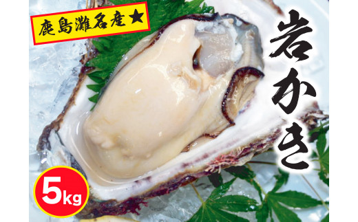 鹿島灘名産★天然岩牡蠣（約5kg）（KBL-9）