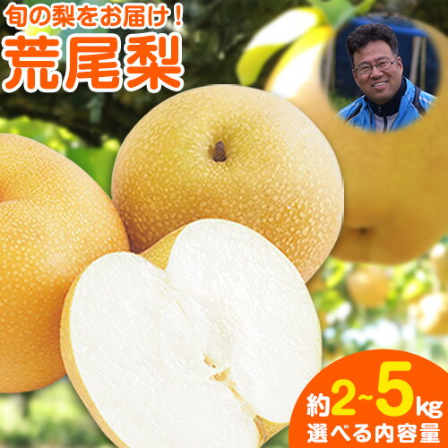 【ふるさと納税】 梨 先行予約 梨 荒尾梨 約 2 ~ 2.5 kg (5~10玉) 約 5kg (6〜18玉前後) 和梨 なし 秋 旬 熊本県 荒尾市産 なし フルーツ 果物 新鮮 目野果実直売所《7月下旬-10月上旬頃出荷》 愛甘水 幸水 秋麗 豊水 あきづき のいずれか 品種の指定はできません