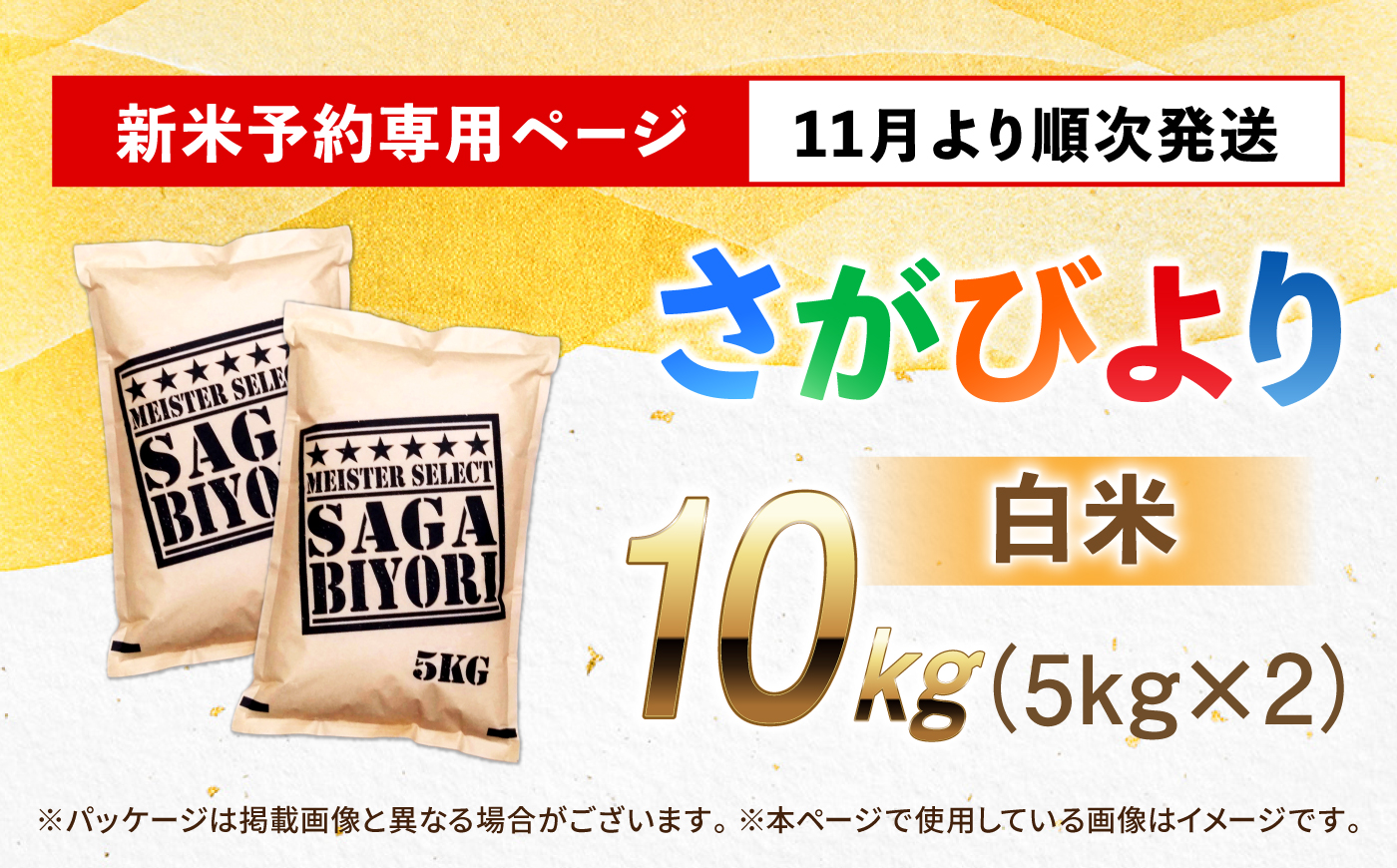 【令和8年産 新米 先行予約】 五つ星お米マイスター厳選！さがびより 白米 10kg（5kg×2袋） 吉野ヶ里町/大塚米穀店 [FCW046-11]